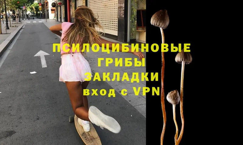 Псилоцибиновые грибы Magic Shrooms  Карабулак 